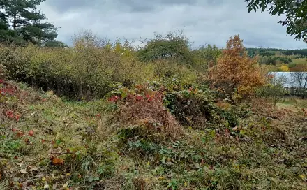 Dražba pozemku 4 183 m², Bušanovice