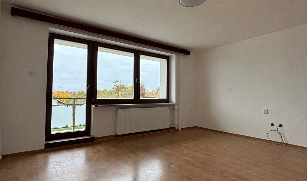 Pronájem bytu 3+1 150 m², Přáslavice – náhled fotky 7
