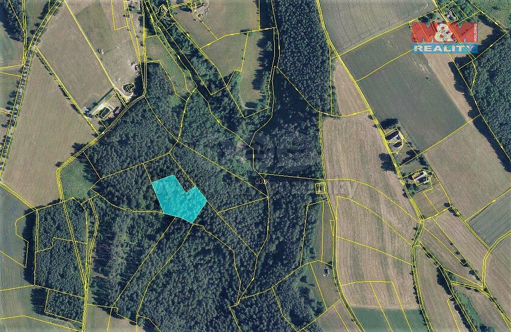 Prodej lesa 6 422 m²