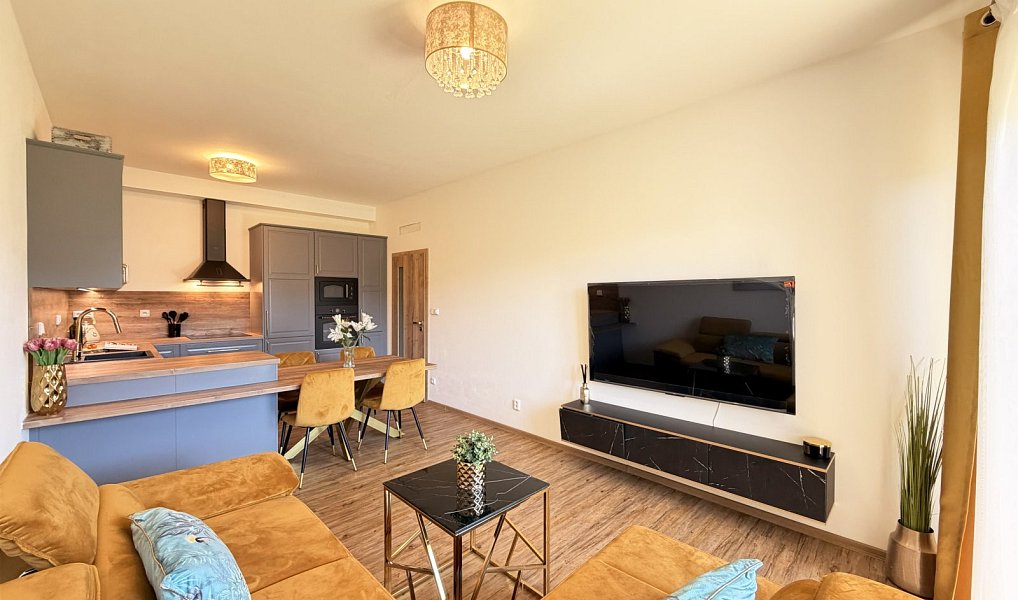 Prodej bytu 2+kk 52 m², České Budějovice – náhled fotky 2