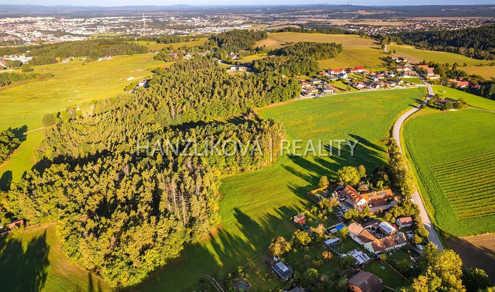 Prodej stavebního pozemku 1 630 m², Dubičné – náhled fotky 5