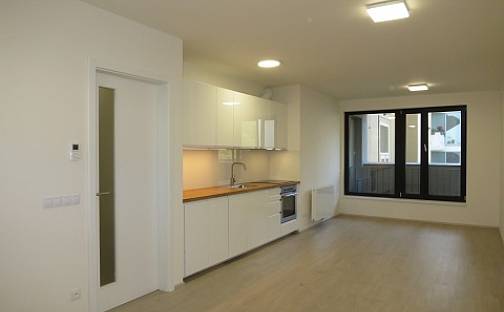 Pronájem bytu 2+kk 58 m², Hartigova, Praha 3 - Žižkov