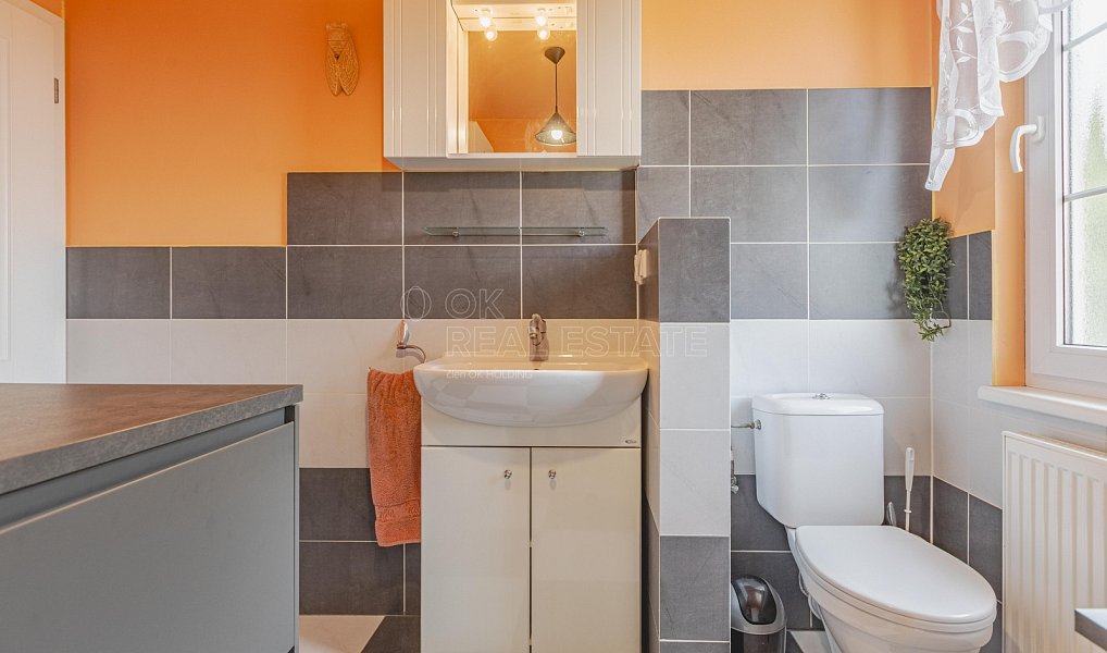 Prodej domu 107 m² s pozemkem 720 m², Velká Dobrá – náhled fotky 23