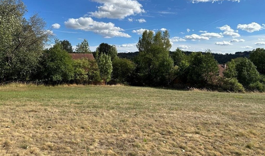 Prodej domu 371 m² s pozemkem 11 770 m², Křižanov – náhled fotky 19