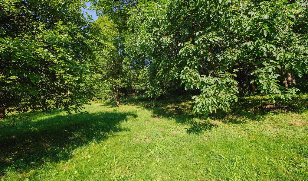 Prodej stavebního pozemku 4 188 m², Zlatá Olešnice – náhled fotky 4