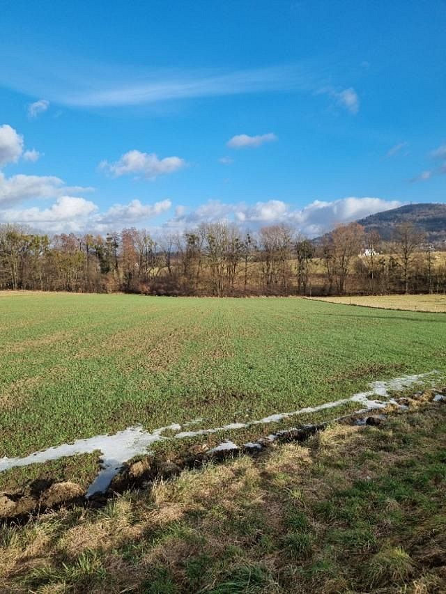 Pronájem zahrady 800 m²