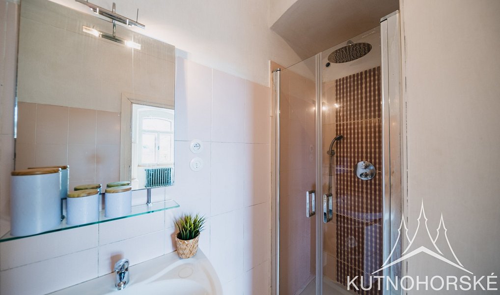 Prodej domu 414 m² s pozemkem 1 000 m², Velenka – náhled fotky 19
