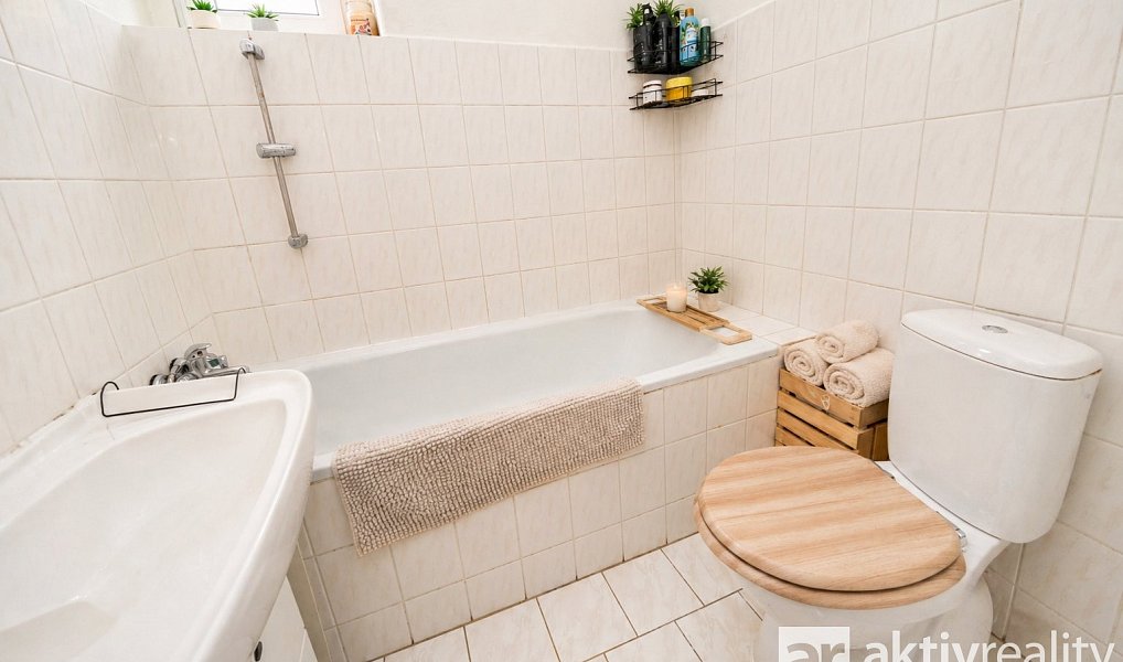 Prodej domu 250 m² s pozemkem 1 005 m², Dolní Zálezly – náhled fotky 11