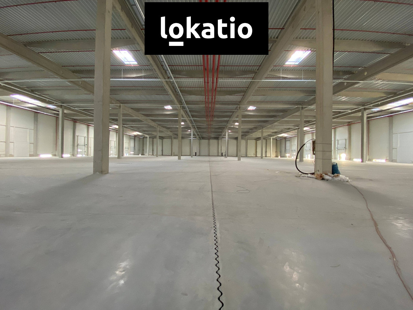 Pronájem výrobních prostor 3 602 m² — photo 4