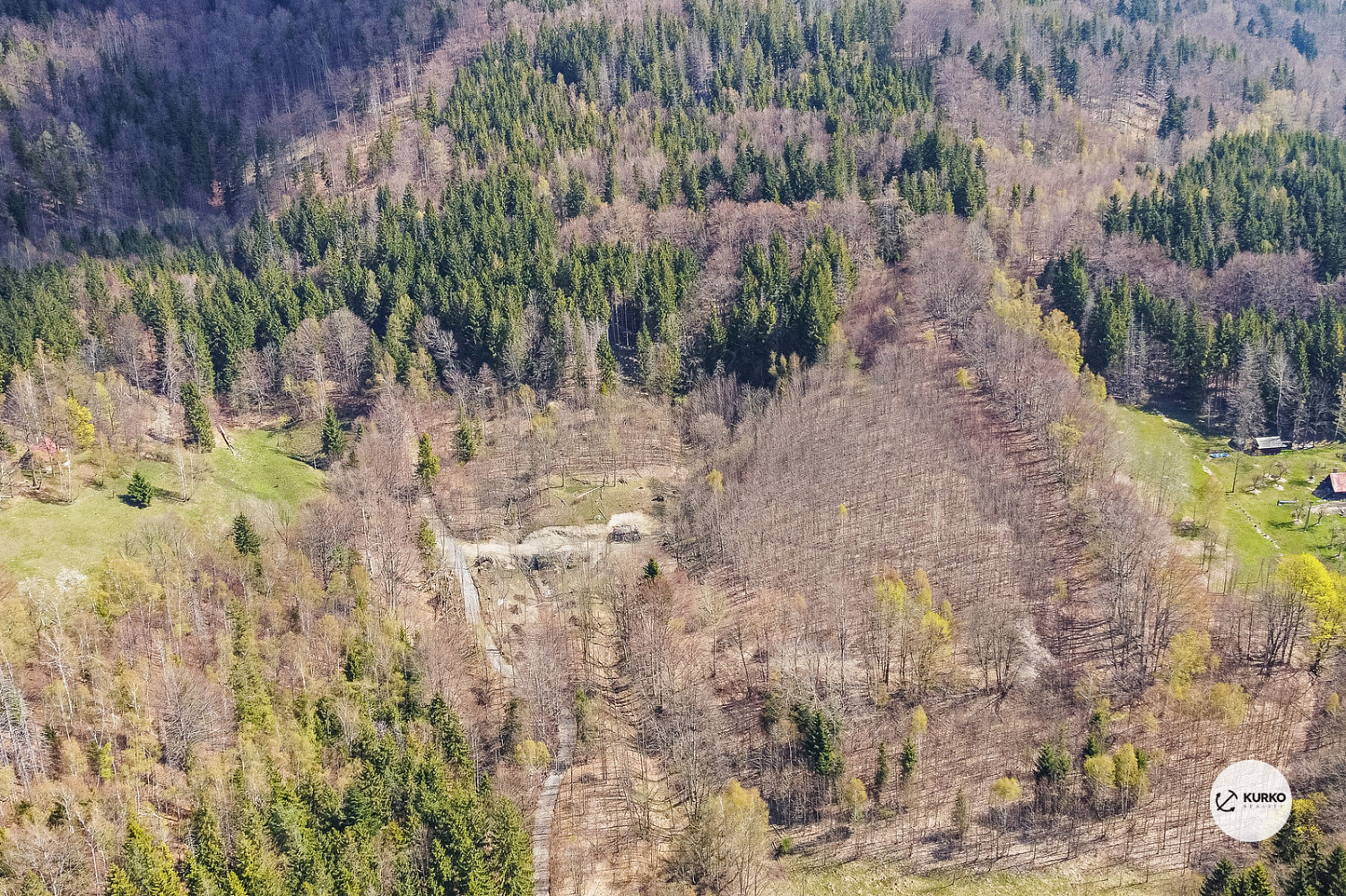 Fotka 11 z 19