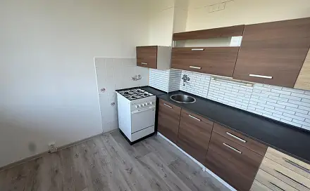 Prodej bytu 2+1 48 m², Aléská, Bílina - Pražské Předměstí, okres Teplice