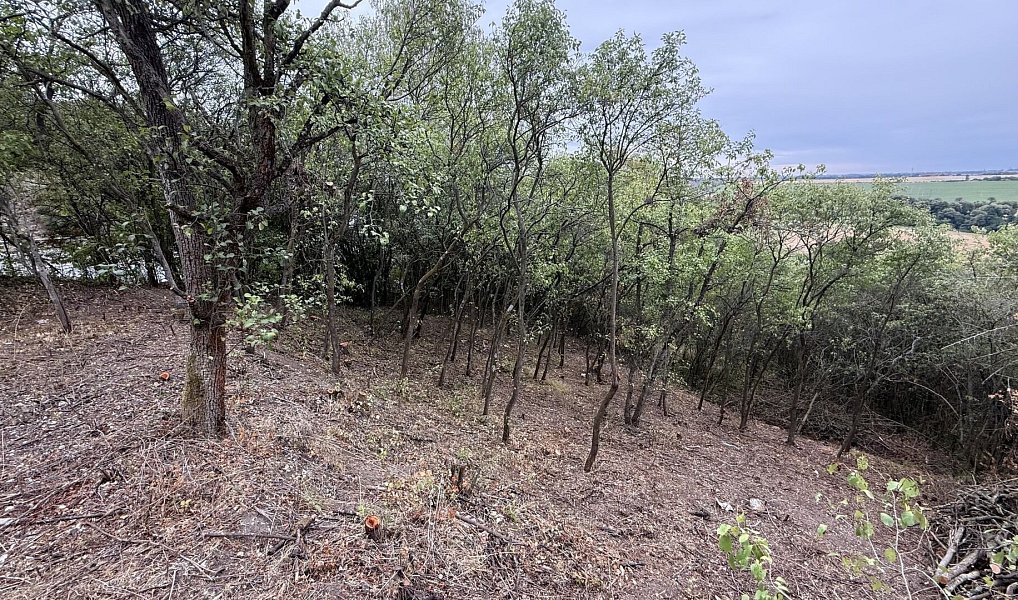 Prodej zahrady 464 m², Brandýsek – náhled fotky 2