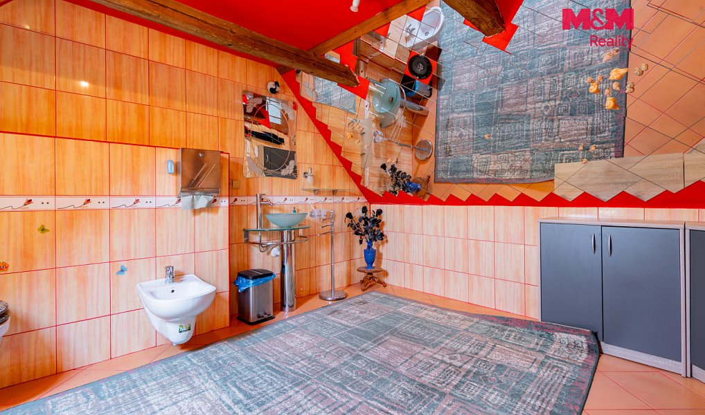 Prodej domu 829 m² s pozemkem 22 298 m², Nová Ves nad Lužnicí – náhled fotky 15