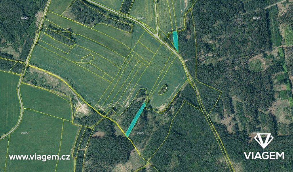 Prodej lesa 2 059 m², Líšťany – náhled fotky 5
