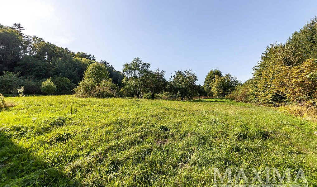 Prodej stavebního pozemku 3 738 m², Hrubá Skála – náhled fotky 4