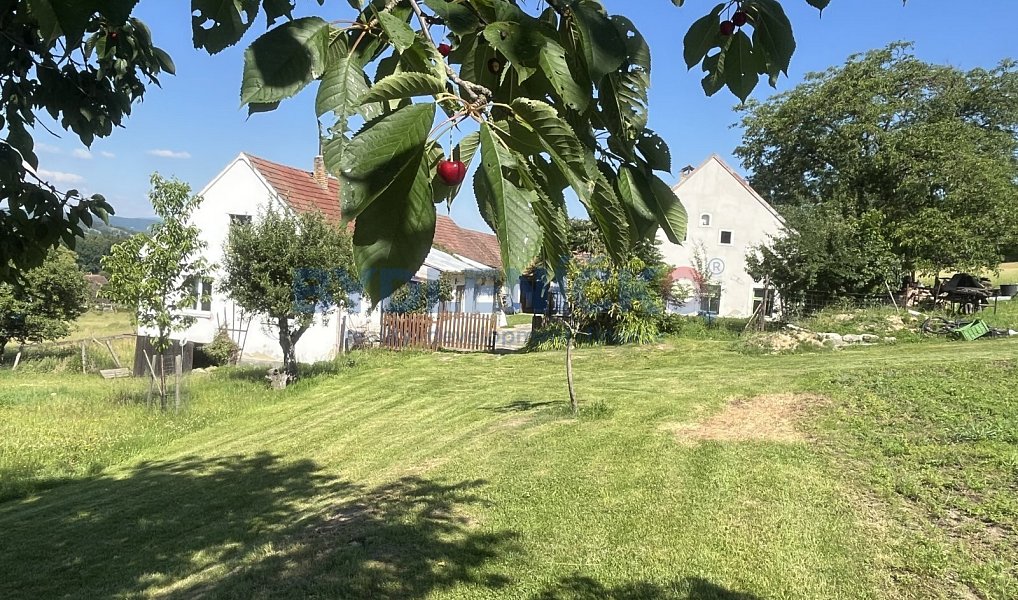 Prodej chaty/chalupy 1 123 m² s pozemkem 2 018 m², Křemže – náhled fotky 3
