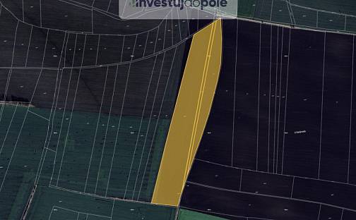 Prodej pole 37 207 m², Vlkov pod Oškobrhem, okres Nymburk