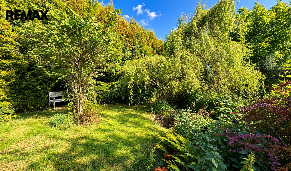 Prodej domu 170 m² s pozemkem 1 659 m², Halže – náhled fotky 12