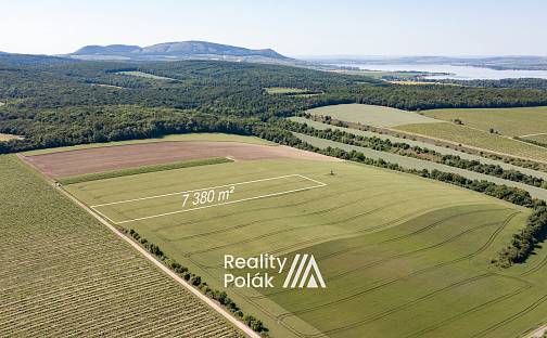 Prodej pole 7 380 m², Bulhary, okres Břeclav
