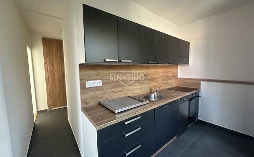 Pronájem bytu 2+1 52 m², Mjr. Šulce, Chomutov