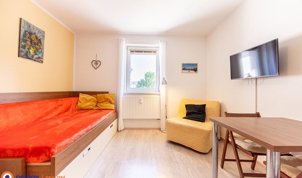 Pronájem bytu 1+kk 21 m², Loučná nad Desnou – fotka 1 z 18