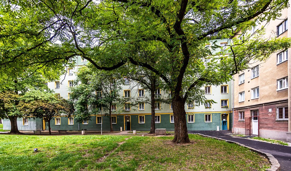Prodej bytu 1+1 38 m², Most – fotka 1 z 16