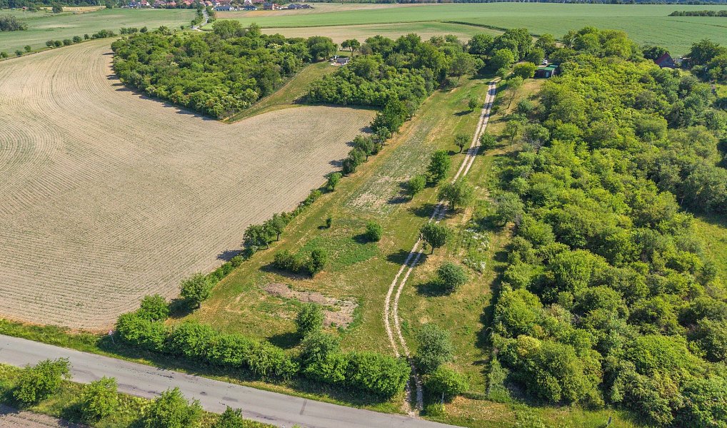 Prodej zahrady 8 945 m², Olešnice – náhled fotky 3