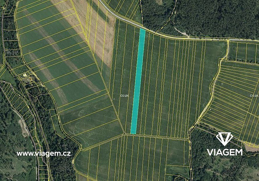 Prodej pole 2 744 m² – pohled 3