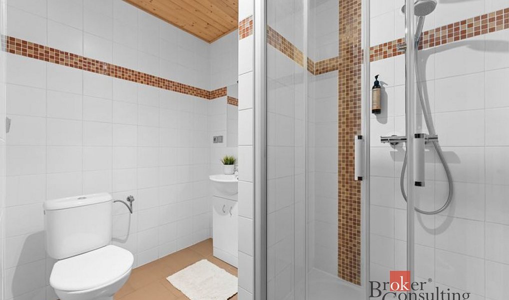 Prodej domu 650 m² s pozemkem 906 m², Strážné – náhled fotky 11