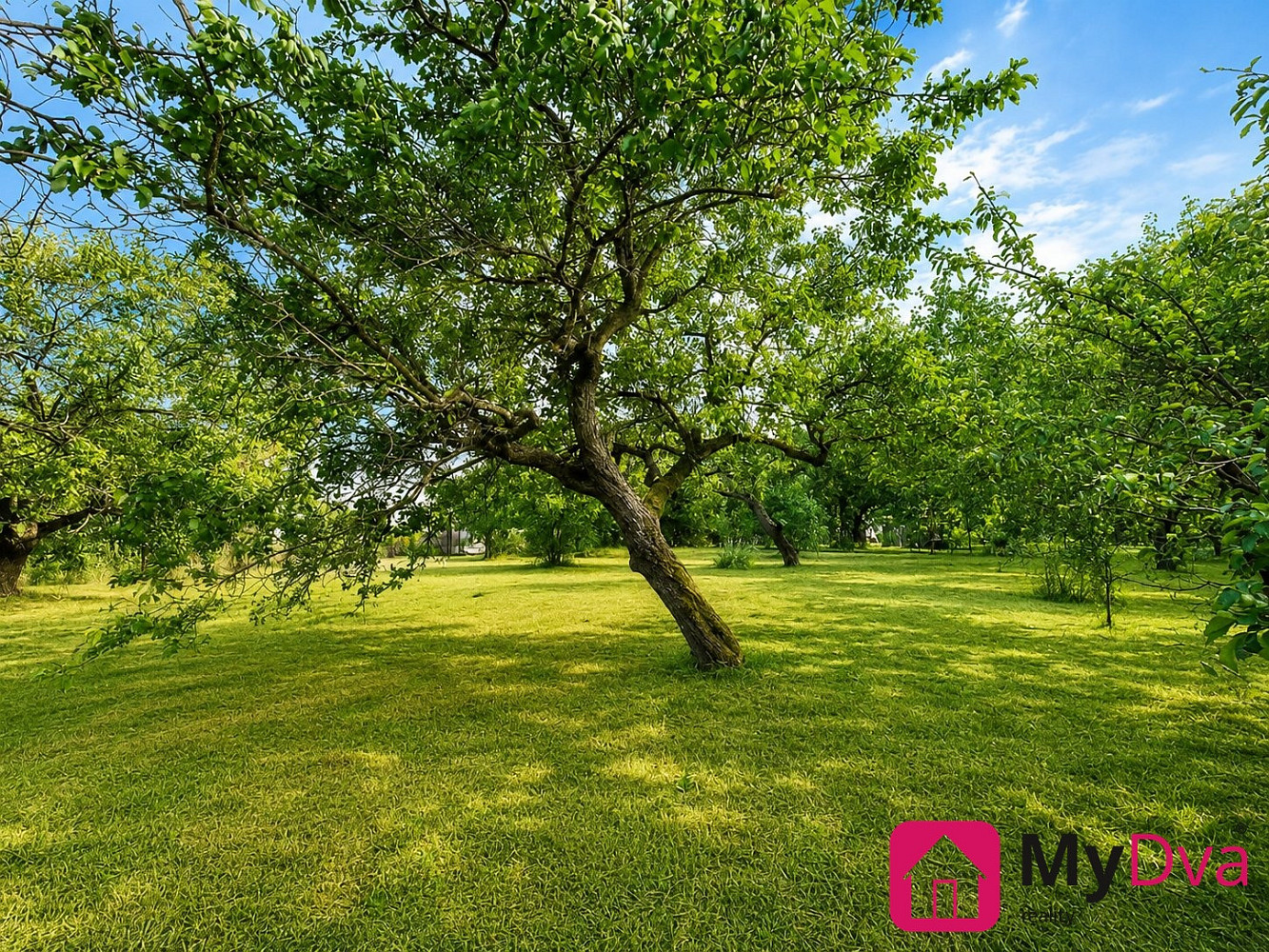 Prodej stavebního pozemku 1 465 m² – fotografie 4