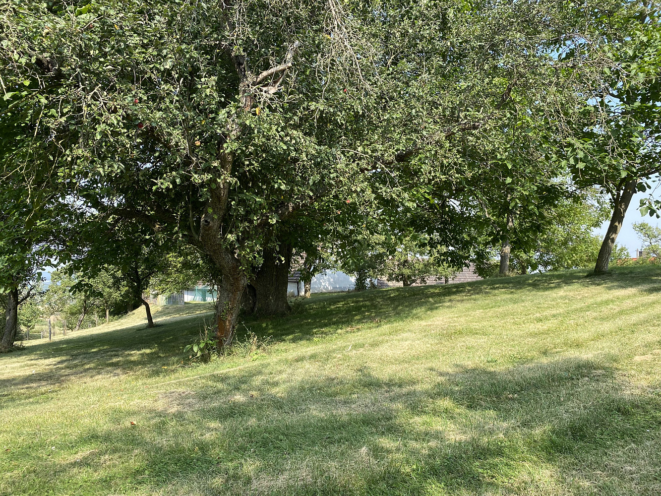 Prodej stavebního pozemku 3 359 m²