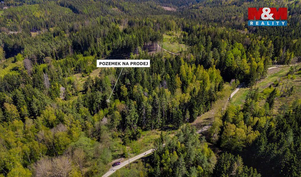 Prodej lesa 11 203 m², Železný Brod – náhled fotky 4
