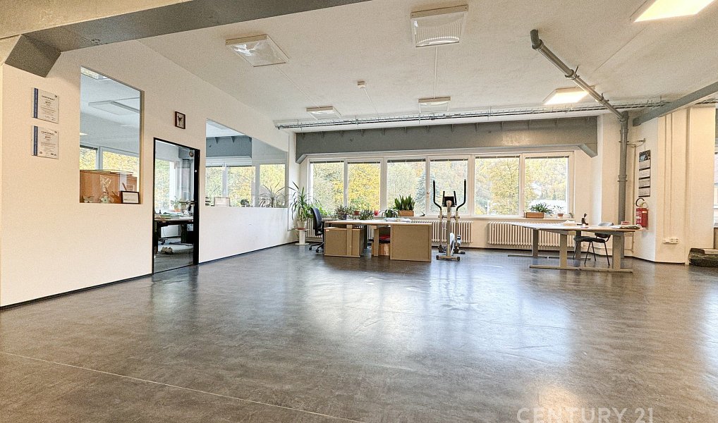 Pronájem výrobních prostor 1 920 m², Brno – náhled fotky 9