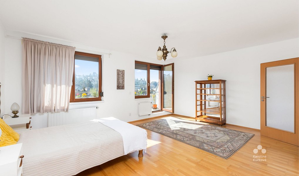 Pronájem bytu 1+kk 55 m², Praha – náhled fotky 5