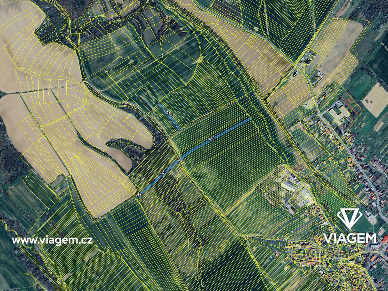 Prodej pole 1 063 m² – fotografie 4