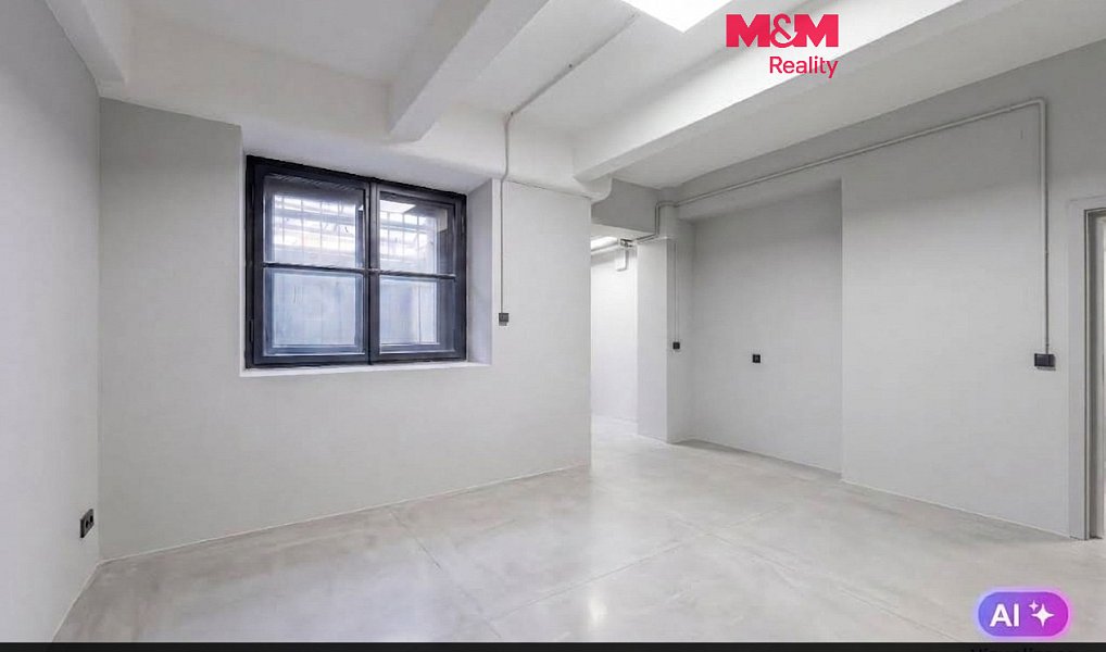 Prodej komerčního prostoru, 16 m², Bubeneč - Praha 6, Praha