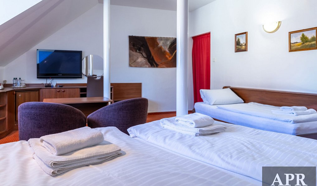 Prodej restaurace 420 m², Luhačovice – náhled fotky 12
