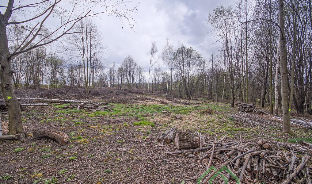 Prodej pole 6 787 m², Mikulovice – náhled fotky 12