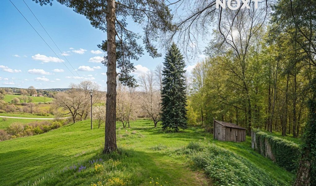 Prodej domu 60 m² s pozemkem 3 089 m², Lipí – náhled fotky 15