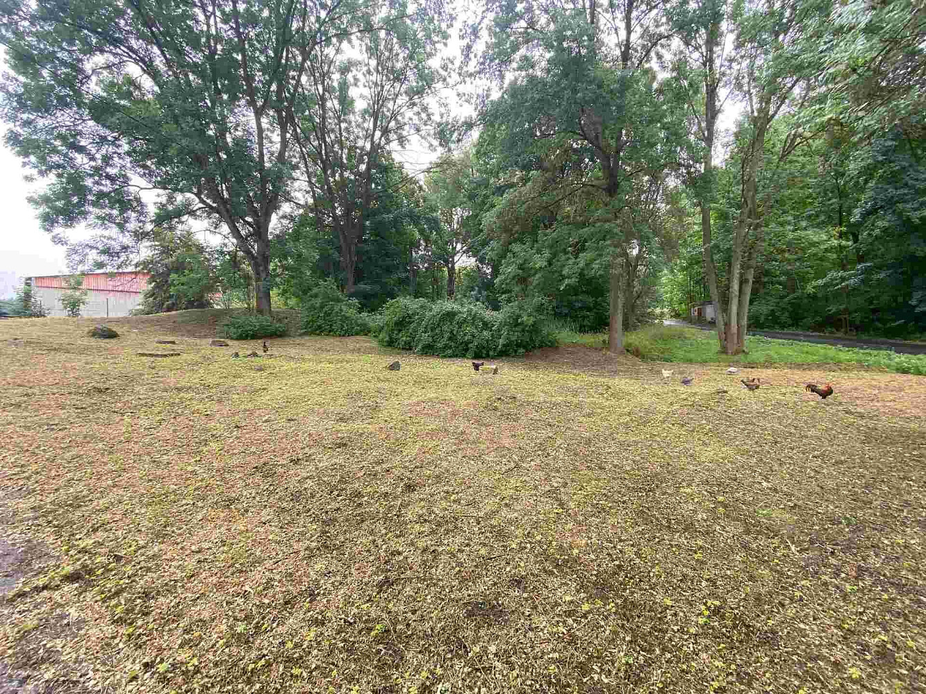 Prodej pozemku 1 993 m²