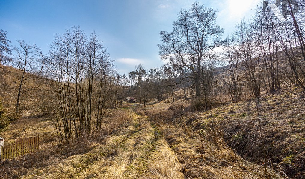 Prodej stavebního pozemku 3 388 m², Luka nad Jihlavou – náhled fotky 11