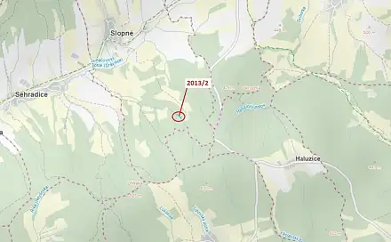 Dražba lesa 1 363 m², Slopné