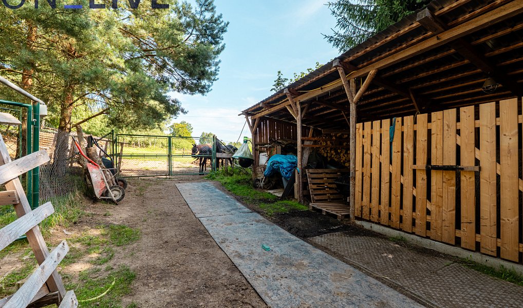 Prodej domu 650 m² s pozemkem 3 730 m², Rozvadov – náhled fotky 23