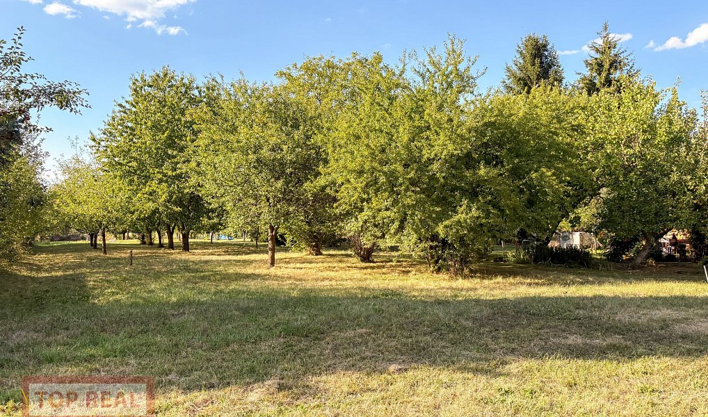 Prodej stavebního pozemku 864 m², Střížovice – náhled fotky 7