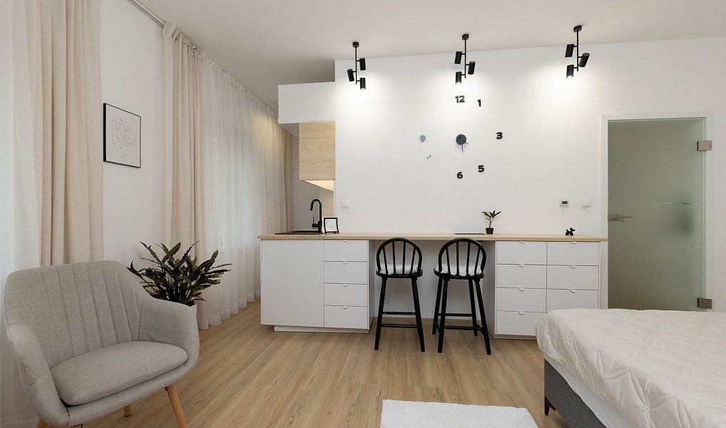 Pronájem bytu 1+kk 35 m², Ostrava – náhled fotky 4