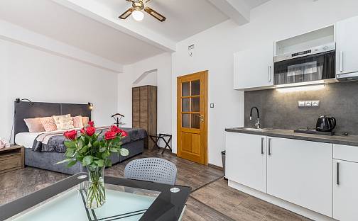 Pronájem bytu 1+kk 31 m², Spálená, Praha 1 - Nové Město