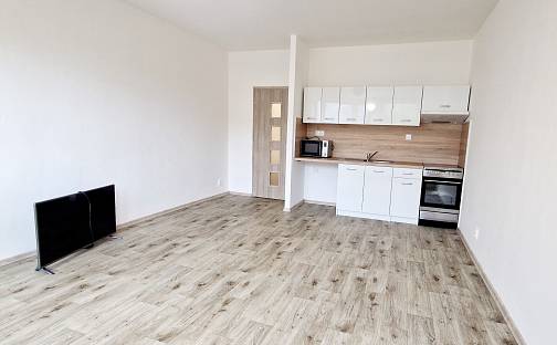 Pronájem bytu 1+kk 30 m², Letní, Havířov - Šumbark, okres Karviná