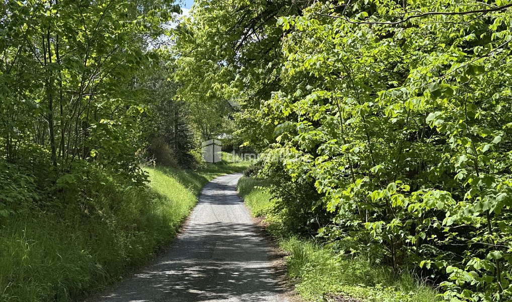 Prodej pozemku 50 m², Cvikov – náhled fotky 4