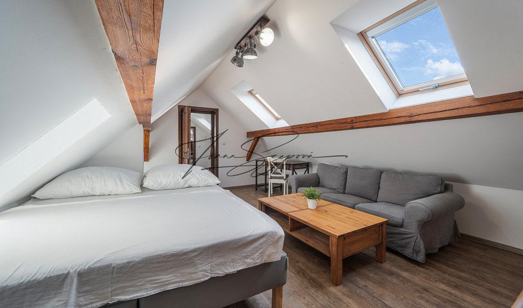 Prodej ubytovacího objektu 208 m², Dráchov – náhled fotky 36