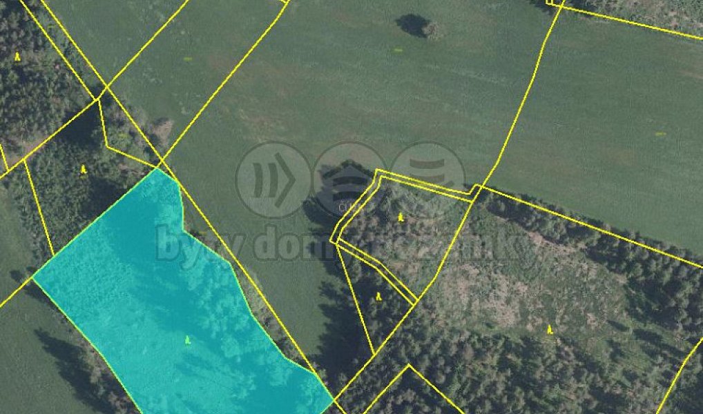Prodej lesa 20 974 m², Stará Paka – náhled fotky 7